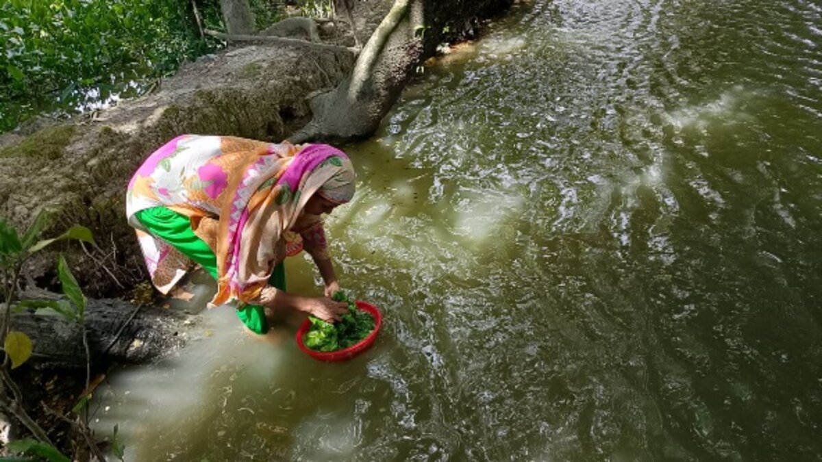 Transforming Lives Through Safe Water: How MSE Is Powering a Rural Bangladeshi Dream